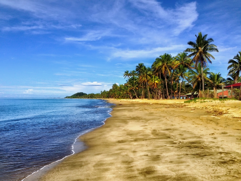 Beach sea coast nature