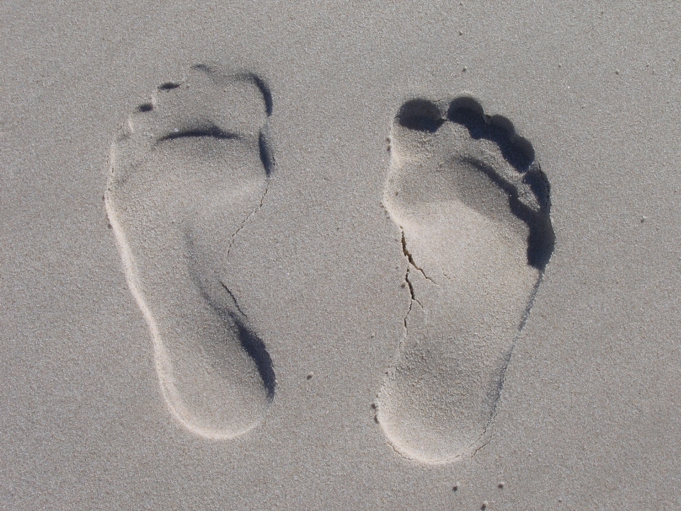 Mão praia mar areia