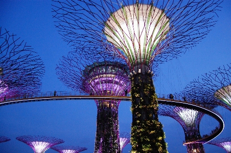 Creative night flower monument Photo