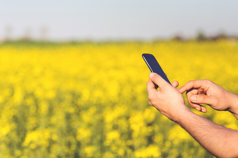 Smartphone móvel homem grama