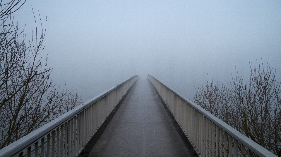 Neve inverno névoa ponte