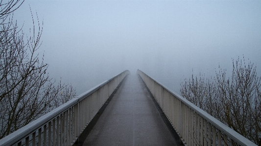 Snow winter fog mist Photo