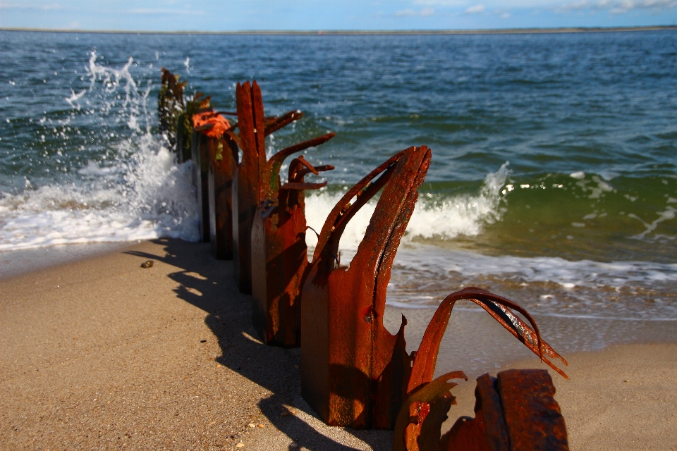 Praia mar costa água