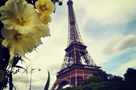 Anlage himmel blume eiffelturm Foto