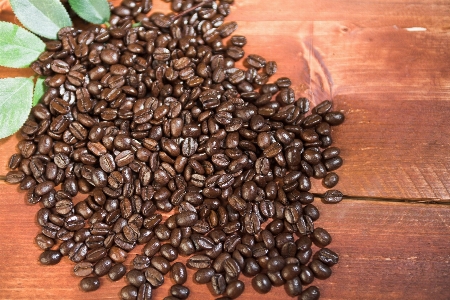 コーヒー 豆 食べ物 生産 写真