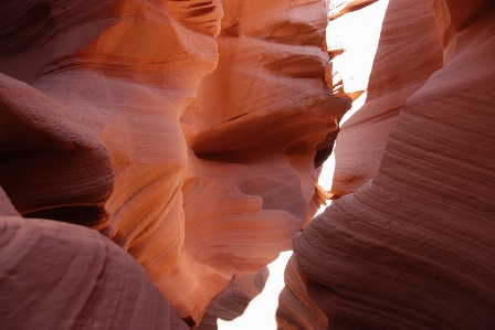 Rock odun güneş ışığı yaprak Fotoğraf