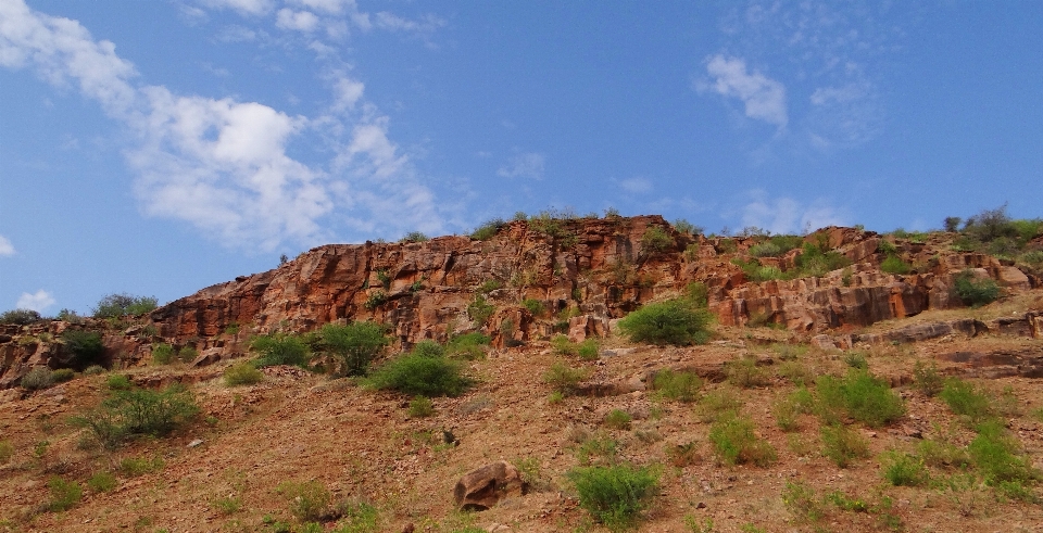 Rock 踪迹 砂岩 全景