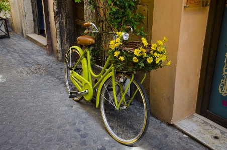 Foto Fiore strada ruota fioritura