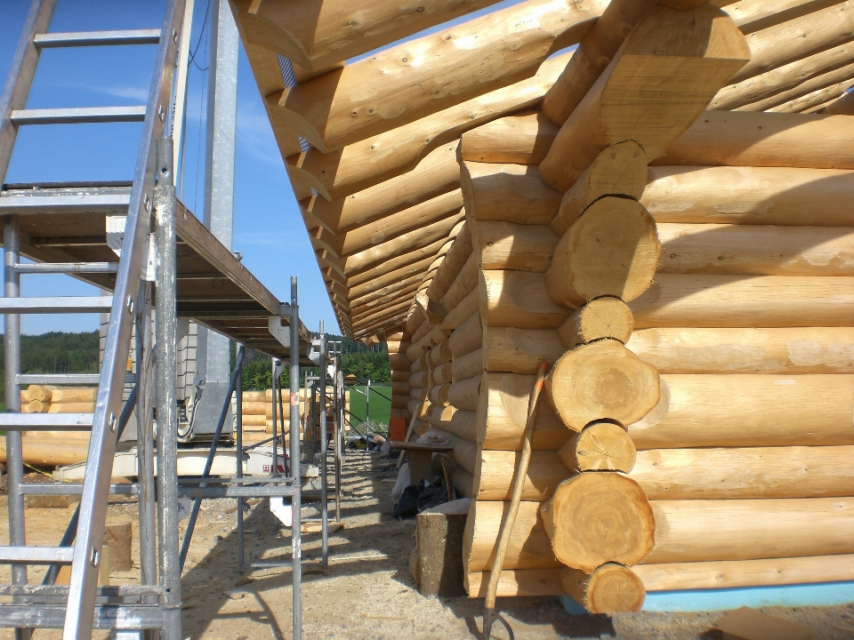 Tree wood building beam