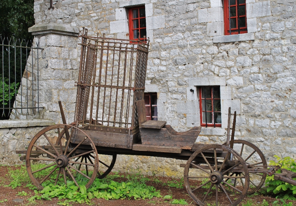 Architecture cart window building