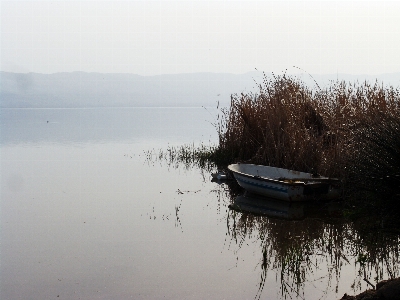 Sea water nature mist Photo