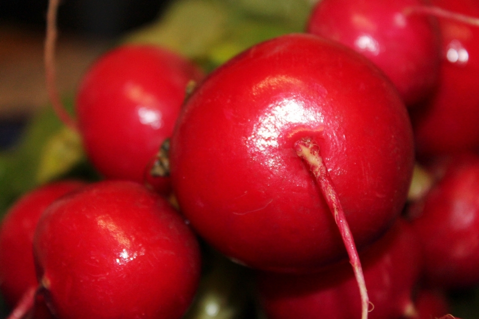 Planta fruta alimento rojo