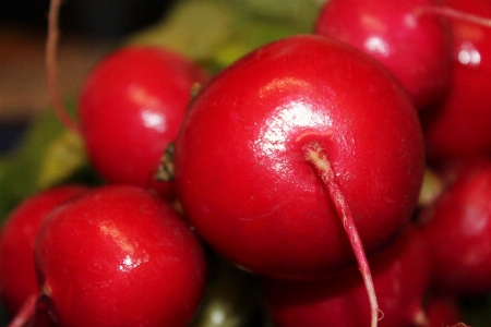 Plant fruit food red Photo