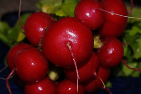 Plant fruit food red Photo