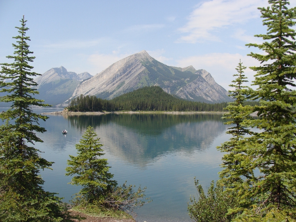 árvore natureza região selvagem
 montanha