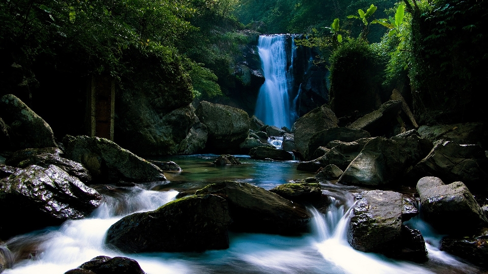 Paisaje agua naturaleza bosque