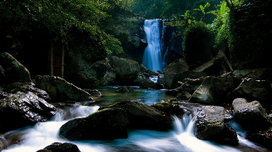 Foto Paisagem água natureza floresta