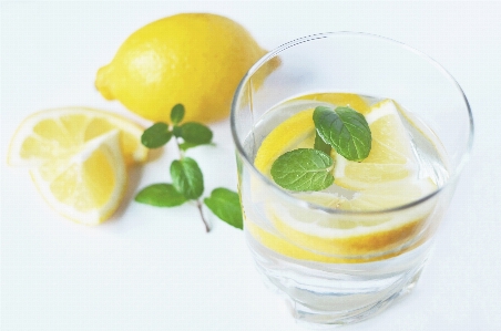 Water plant fruit orange Photo