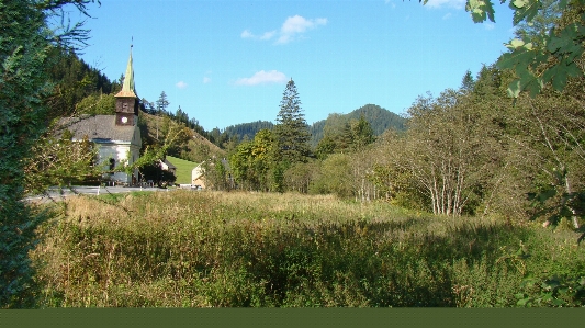 Berg pfad wiese
 gebirge
 Foto