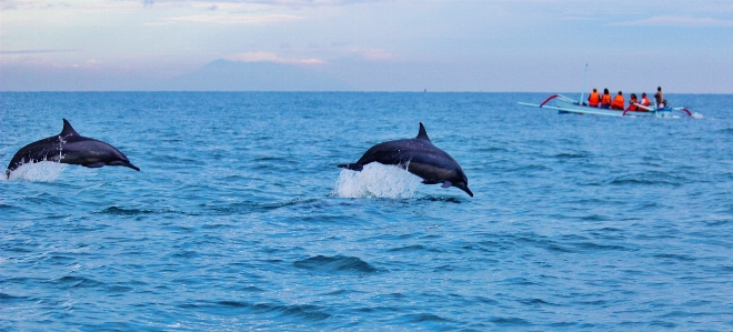 Sea water ocean jump Photo