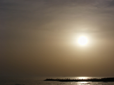 Beach sea coast ocean Photo