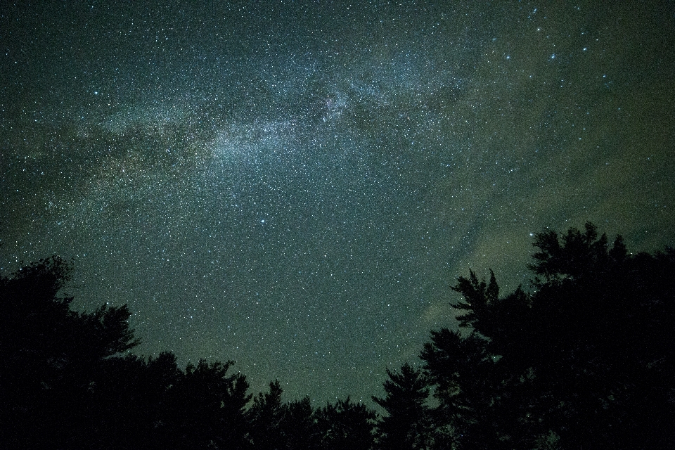 Silhueta céu noite estrela