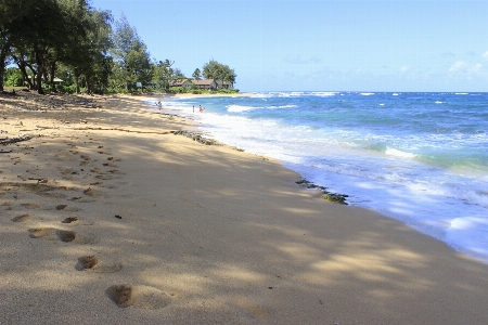 Beach sea coast water Photo