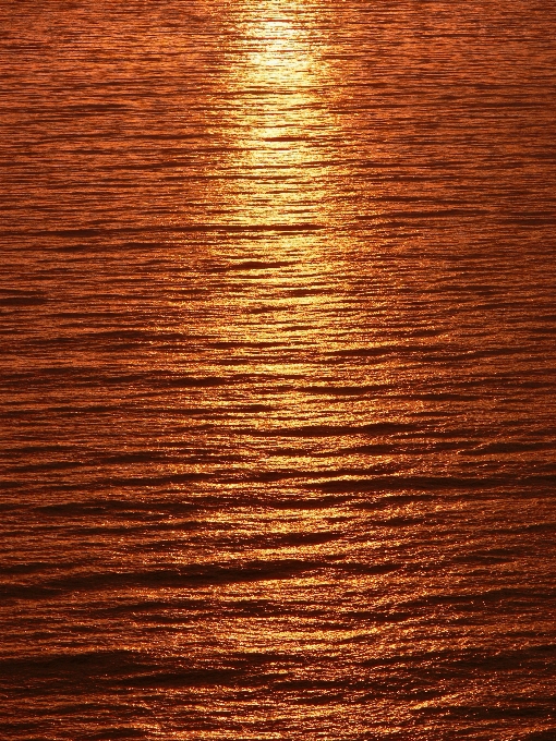 Mer lumière bois coucher de soleil