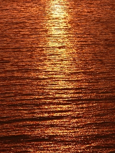 Sea light wood sunset Photo