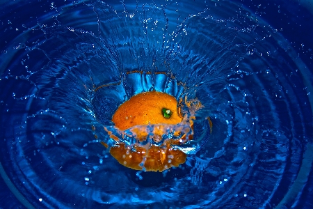 Water drop flower motion Photo