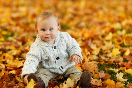 Outdoor people plant play Photo