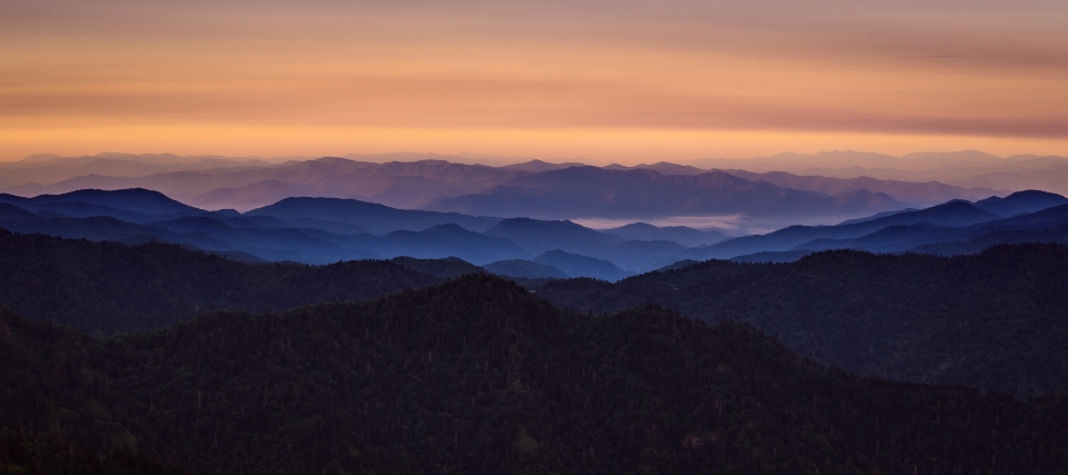 風景 自然 地平線 荒野
