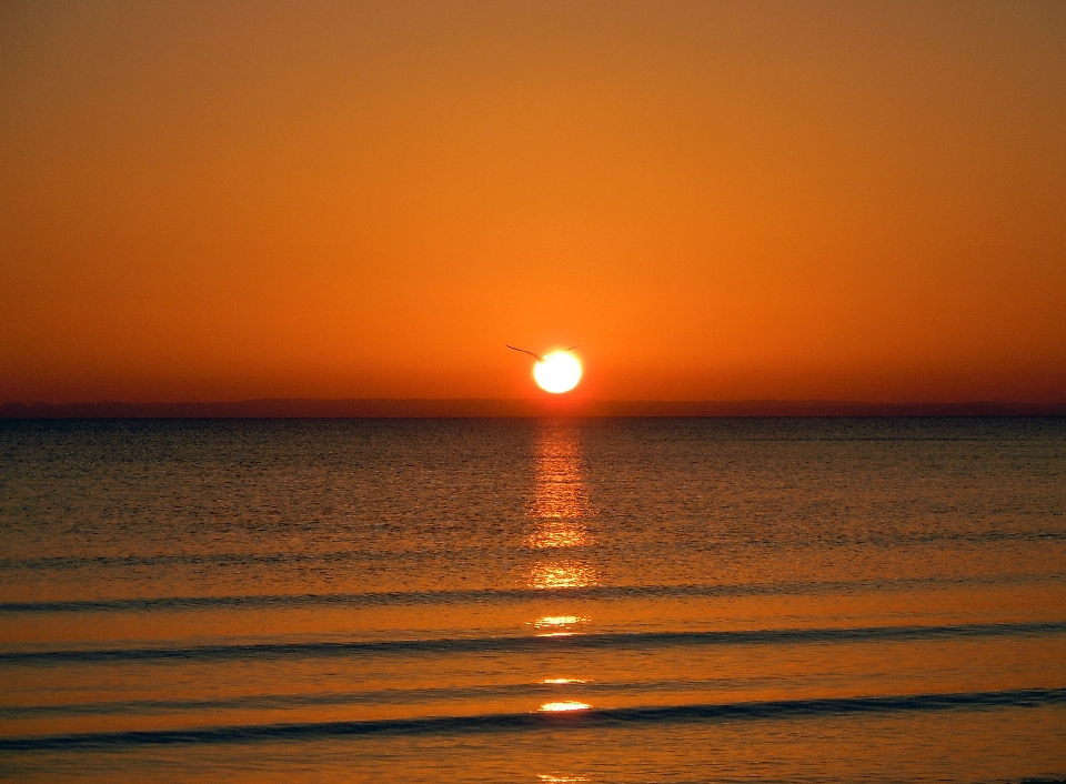 Beach sea ocean horizon