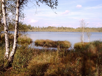 Landscape tree water nature Photo