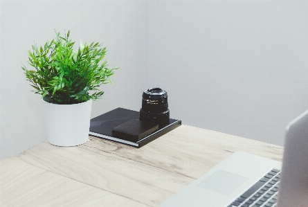 Laptop table book plant Photo