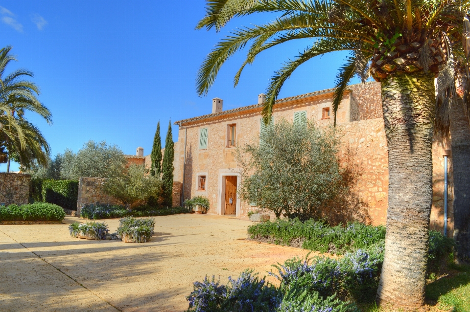 Paesaggio azienda agricola villa dimora
