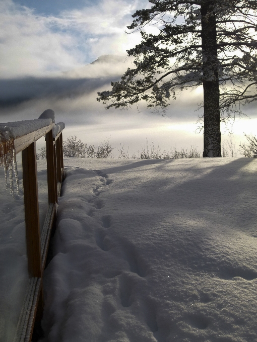 Paysage nature montagne neige