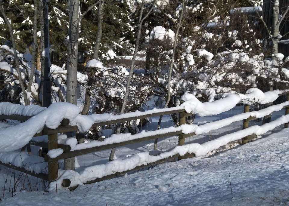 Paisaje naturaleza nieve frío