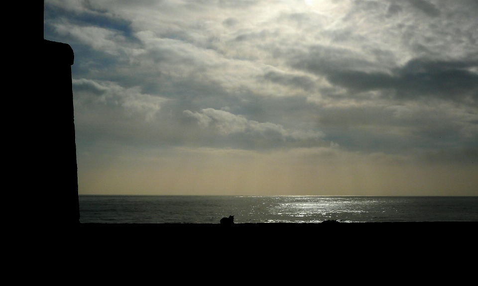 Beach sea coast nature