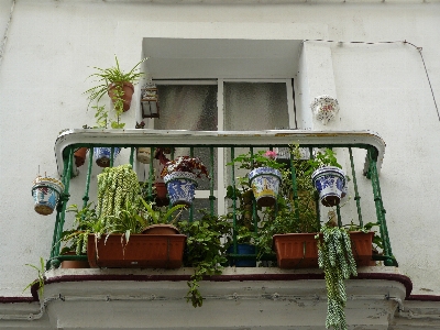 Foto Architettura pianta casa finestra