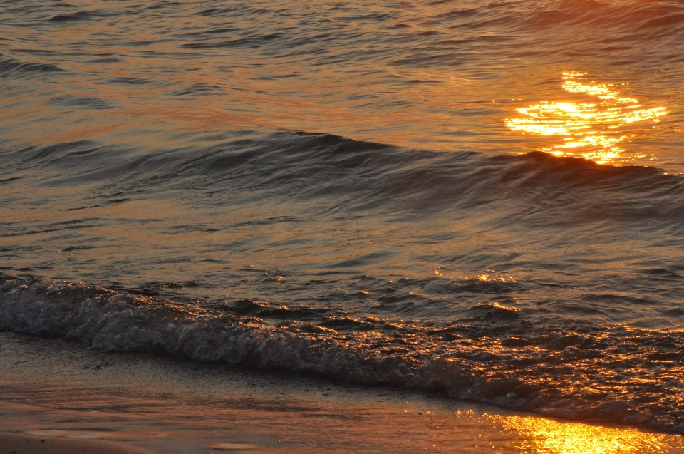 Plaża morze wybrzeże ocean