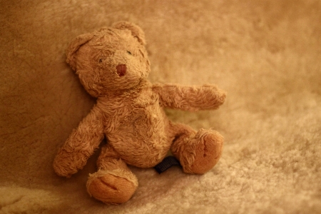 Play bear fur toy Photo