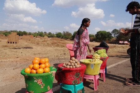 Farm fruit sweet travel Photo