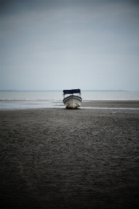 Beach sea coast water Photo