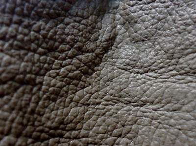 Leather texture pattern brown Photo