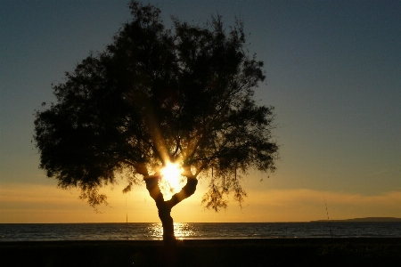 Foto Pantai lanskap laut pesisir