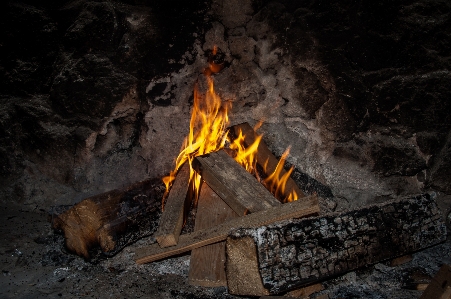 Wood flame fire soil Photo