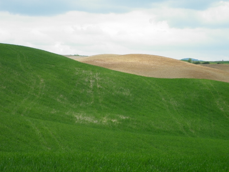 Paysage herbe horizon montagne