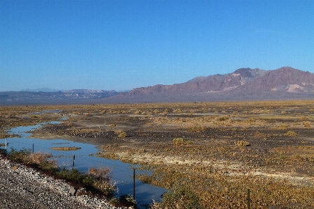 Landscape nature horizon marsh Photo