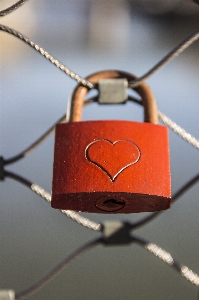 Fence bridge love heart Photo